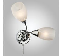 Настенный светильник Eurosvet 2275 2 хром 00000055741