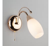 Настенный светильник Eurosvet 22080 1 золото 00000055944