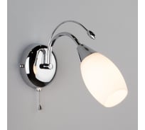 Настенный светильник Eurosvet 22080 1 хром 00000055945