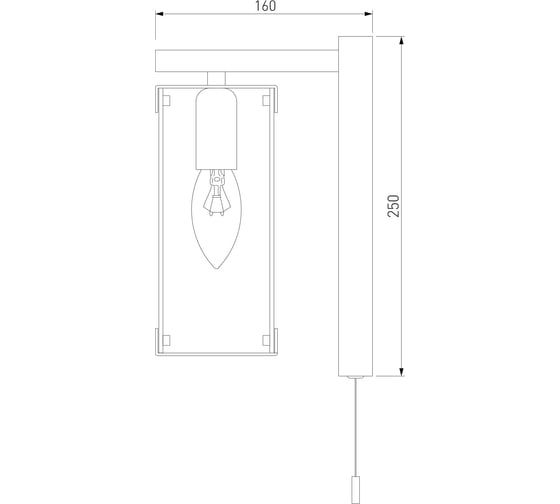 Настенный светильник Eurosvet 60116 1 черный a049424