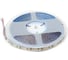 Светодиодная лента DIAMOND LED (10 п.м.) DL-12V-120LED-WW-8MM-MEN 3