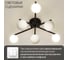 Люстра потолочная Citilux GLOB Чёрная CL209261 11
