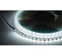 Светодиодная лента (10 п.м.) DIAMOND LED 12V-120LED-W-5MM-MEN RUS
