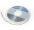 Светодиодная лента (10 п.м.) DIAMOND LED 12V-120LED-W-5MM-MEN RUS 3