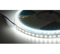Светодиодная лента  (10 п.м.) DIAMOND LED 12V-120LED-W-8MM-MEN RUS