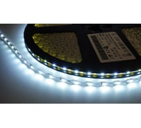 Светодиодная лента DIAMOND LED 50 п.м. AS-6W-60-11000K-IP65-LC