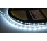 Светодиодная лента DIAMOND LED 50 п.м. AS-6W-60-11000K-IP65-LC 1