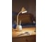 Настольная лампа Philips Hat DSK213 PT 4.5W 40K W USB 02 929003241007 3
