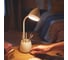 Настольная лампа Philips Hat DSK213 PT 4.5W 40K W USB 02 929003241007 4