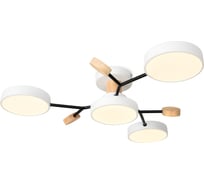 Потолочный светильник Freya FR6119CL-L48W