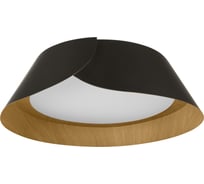 Потолочный светодиодный светильник LOFT IT Lane 10370 Black