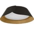 Потолочный светодиодный светильник LOFT IT Lane 10370 Black 1