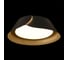 Потолочный светодиодный светильник LOFT IT Lane 10370 Black 2