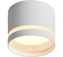 Спот VOLTEGA VGL7373DL-01W2