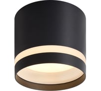 Спот VOLTEGA VGL7373DL-01B2