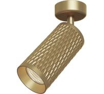 Потолочный светильник VOLTEGA VGL034CL-01G