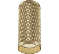 Потолочный светильник VOLTEGA VGL036CL-01G