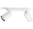 Потолочный светильник Philips PONGEE bar/tube white 2xNW 230V 915005530801 1