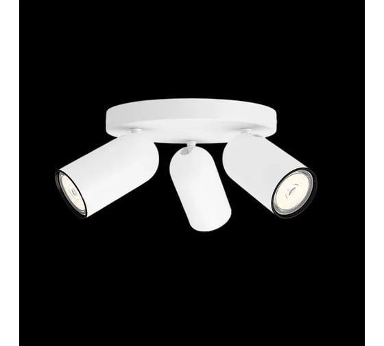 Потолочный светильник Philips PONGEE plate/spiral white 3xNW 230V 915005531101 1