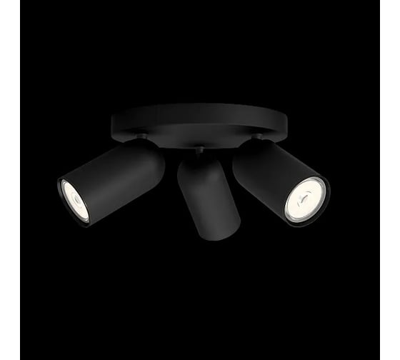 Потолочный светильник Philips PONGEE plate/spiral black 3xNW 230V 915005531301 1