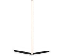 Настольный светильник Freya FR6062TL-L10B