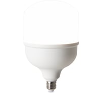 Лампочка VOLTEGA 8588