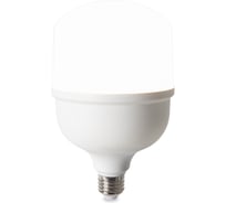 Лампочка VOLTEGA 8587