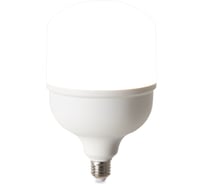 Лампочка VOLTEGA 8589