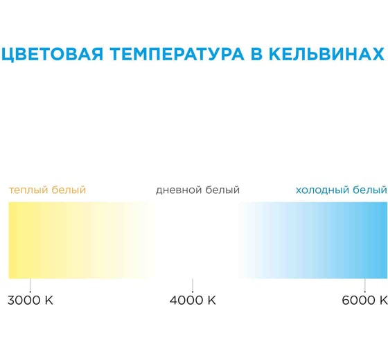 Светодиодная лента Apeyron 12В, 4,8Вт/м, smd3528, 60д/м, IP20, 280Лм/м, ширина подложки 8мм/142