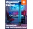 Умный напольный светодиодный светильник LEDVANCE SMART+, черный 4058075765177 4