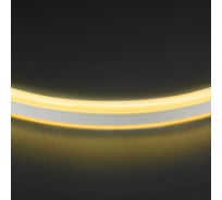 Светодиодная лента lightstar 430102