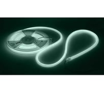 Комплект светодиодной ленты для бани и сауны ЭРА LS2835-9,6-120-24-6500K-IP68-5m-SET с блоком питания IP67 Б0071229