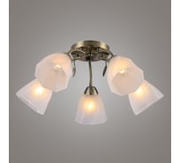 Люстра Ritter Classic 06759/5 5хE27, бронза 52540 0