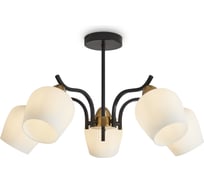 Люстра Freya FR5422PL-05BZ