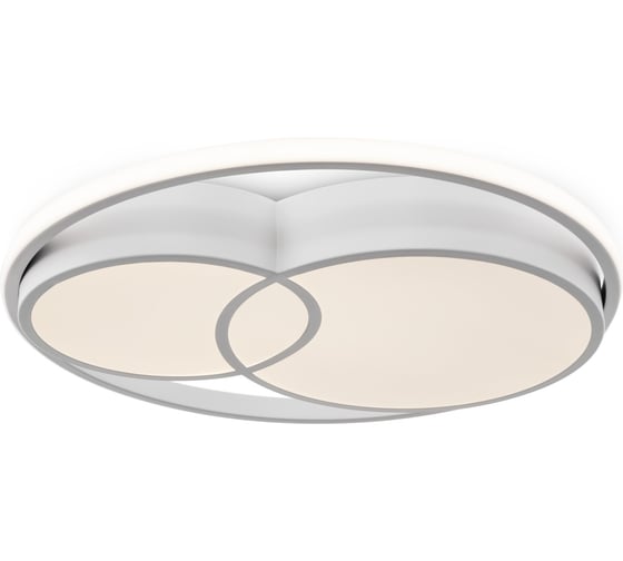 Потолочный светильник Freya FR10029CL-L70W 1