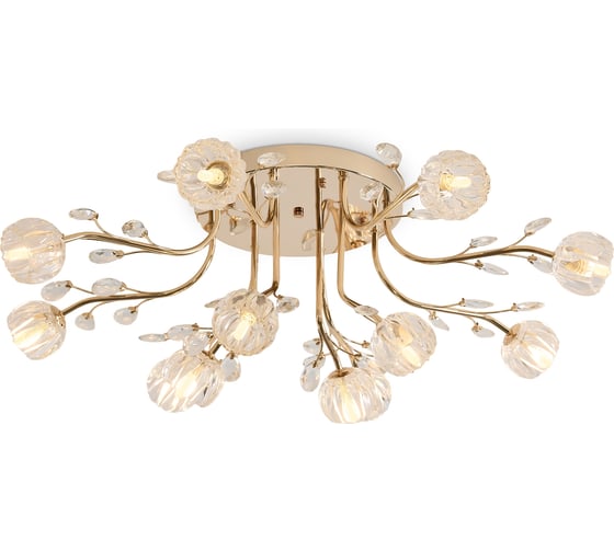 Потолочный светильник Freya FR5571CL-12G 1