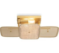 Потолочный светильник Freya FR5572CL-02G