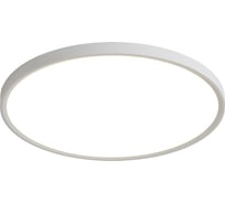 Потолочный светильник Freya FR6161CL-L40W
