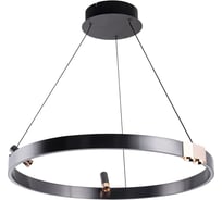 Светильник подвесной ARTE LAMP A1993SP-30BK