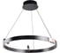 Светильник подвесной ARTE LAMP A1993SP-30BK 1