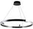 Светильник подвесной  ARTE LAMP A1993SP-38BK 1