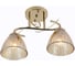Люстра Schaffner 2xE27/40W (37*13,5*23) Ribete 4685-2 GD 1