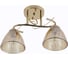 Люстра Schaffner 2xE27/40W (37*13,5*23) Ribete 4685-2 GD 2