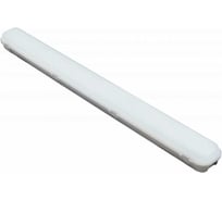 Аварийный светодиодный светильник DIORA LPO/LSP 28/3700 opal 3700лм 28Вт 5000K IP65 0.7PF 80Ra Кп<1 DLPO28-O-5K-A