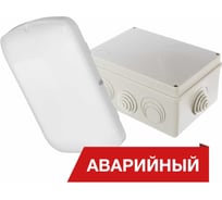 Светодиодный аварийный светильник DIORA Луна Eco Box 10/1100 1100лм 10Вт 5000K IP65 80Ra Кп<5 DLEcoB10-A-5K-A