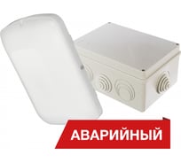 Светодиодный аварийный светильник DIORA Луна Eco Box 10/1100 1100лм 10Вт 4000K IP65 80Ra Кп<5 DLEcoB10-A-4K-A