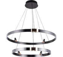 Подвесной светильник ARTE LAMP A1993SP-64BK