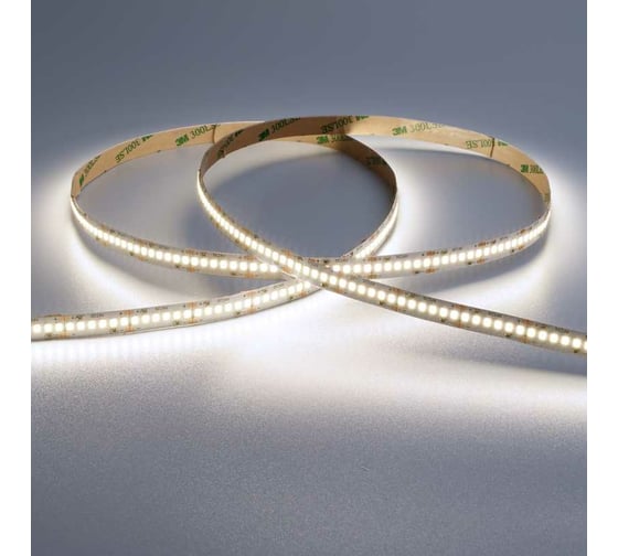 Светодиодная лента Wolta Decor SMD2835 24Вт 6500К Холодный белый свет 24В IP20 240led/m 10 мм, 5 м WLS2835-24W/6500/24H240-01