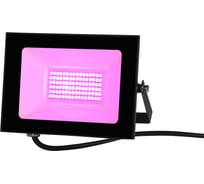 Фито LED прожектор LFL-3005 C02 черный, 30 Вт Camelion 15835