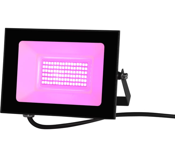 Фито LED прожектор CAMELION LFL-3005 C02 черный, 30 Вт 15835 1